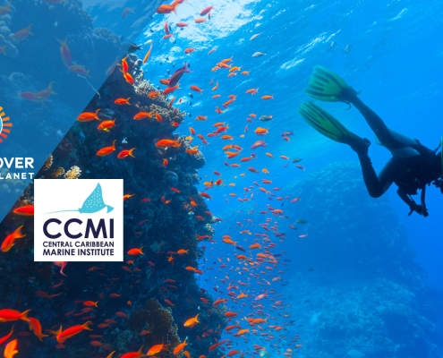 Voice Over collaboration and Scuba diver near coral and fish